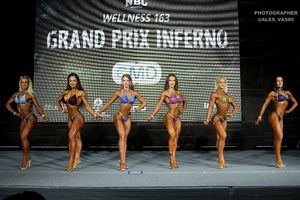 WELLNESS 163